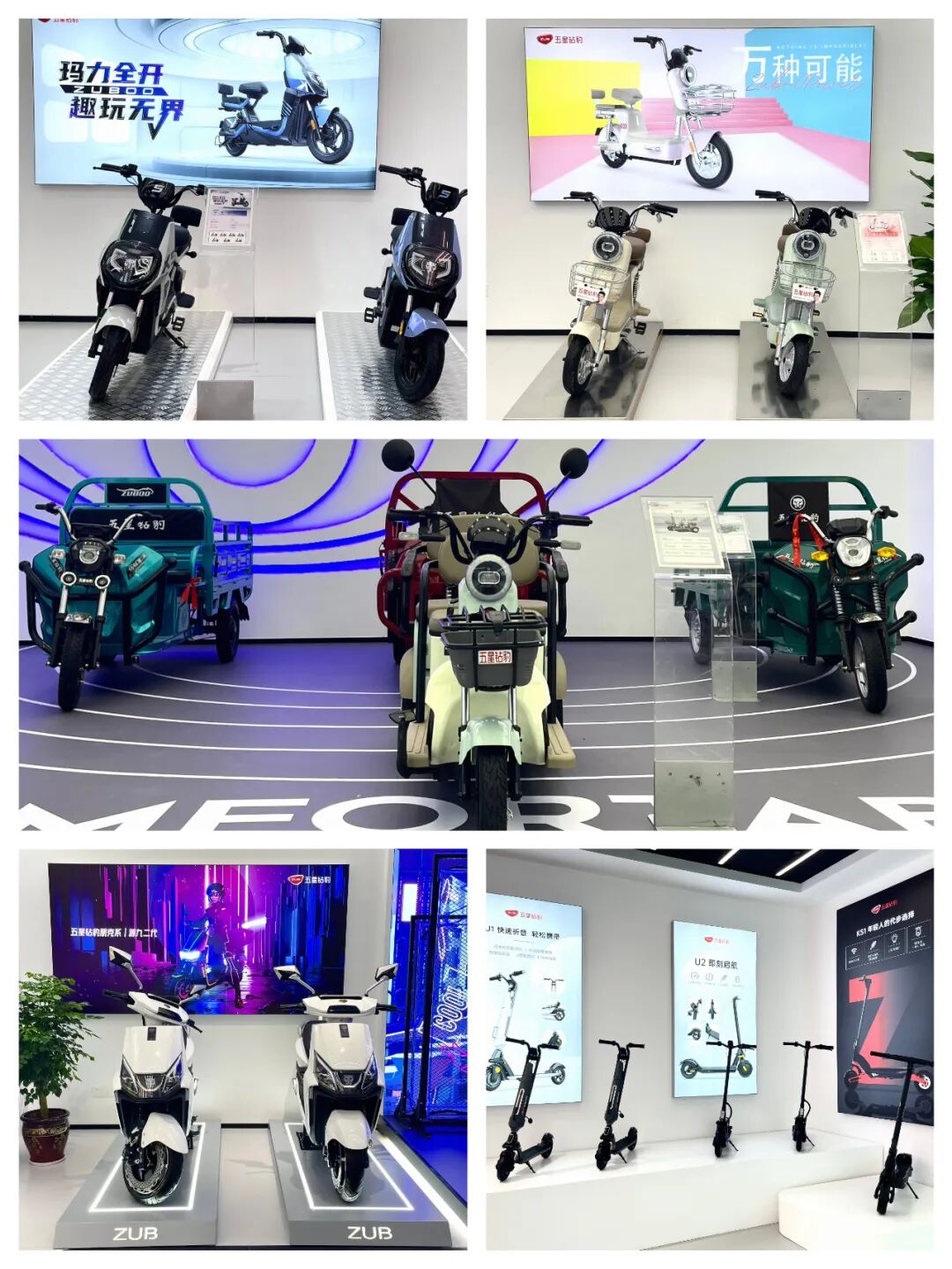 品牌重塑五星钻豹全新展厅揭幕小猎豹IP形象惊艳亮相