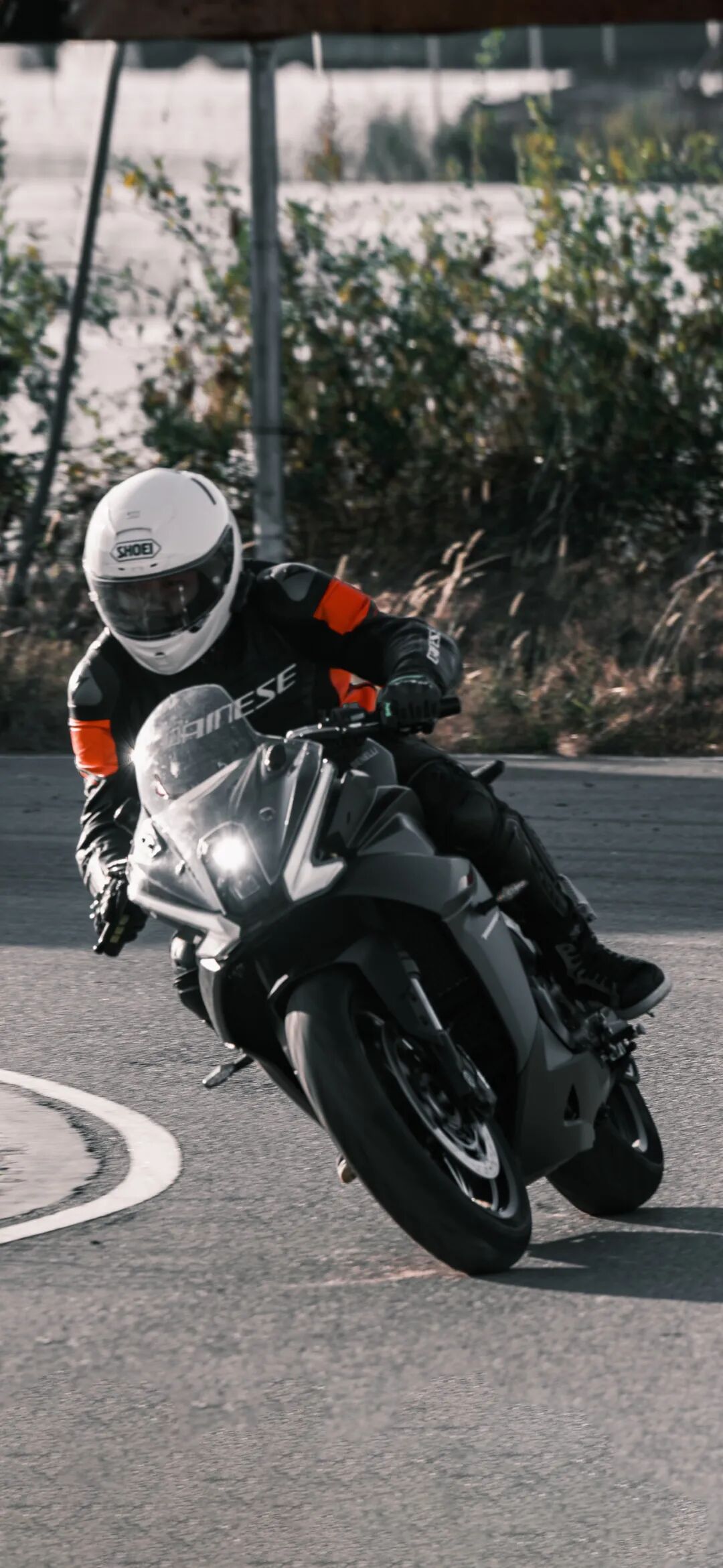 7月壁纸夏一站是青春