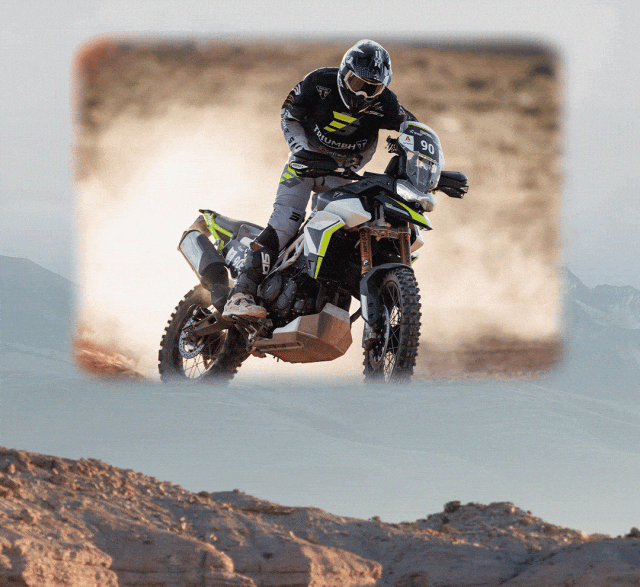 [2025-01-17]鉴虎图Tiger家族全揭秘