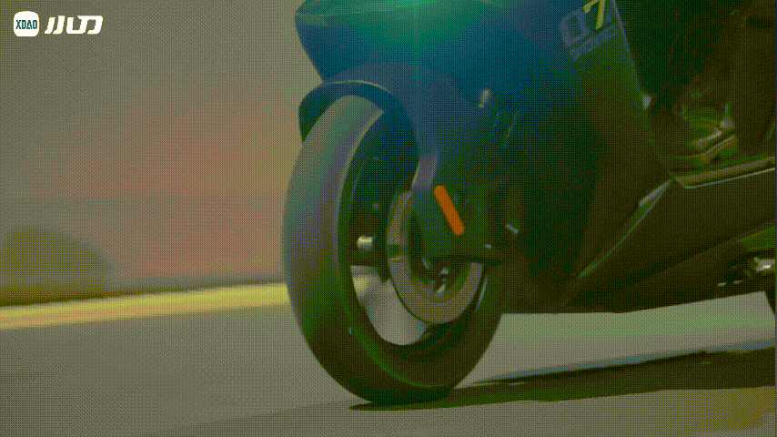 别问了今天不藏了