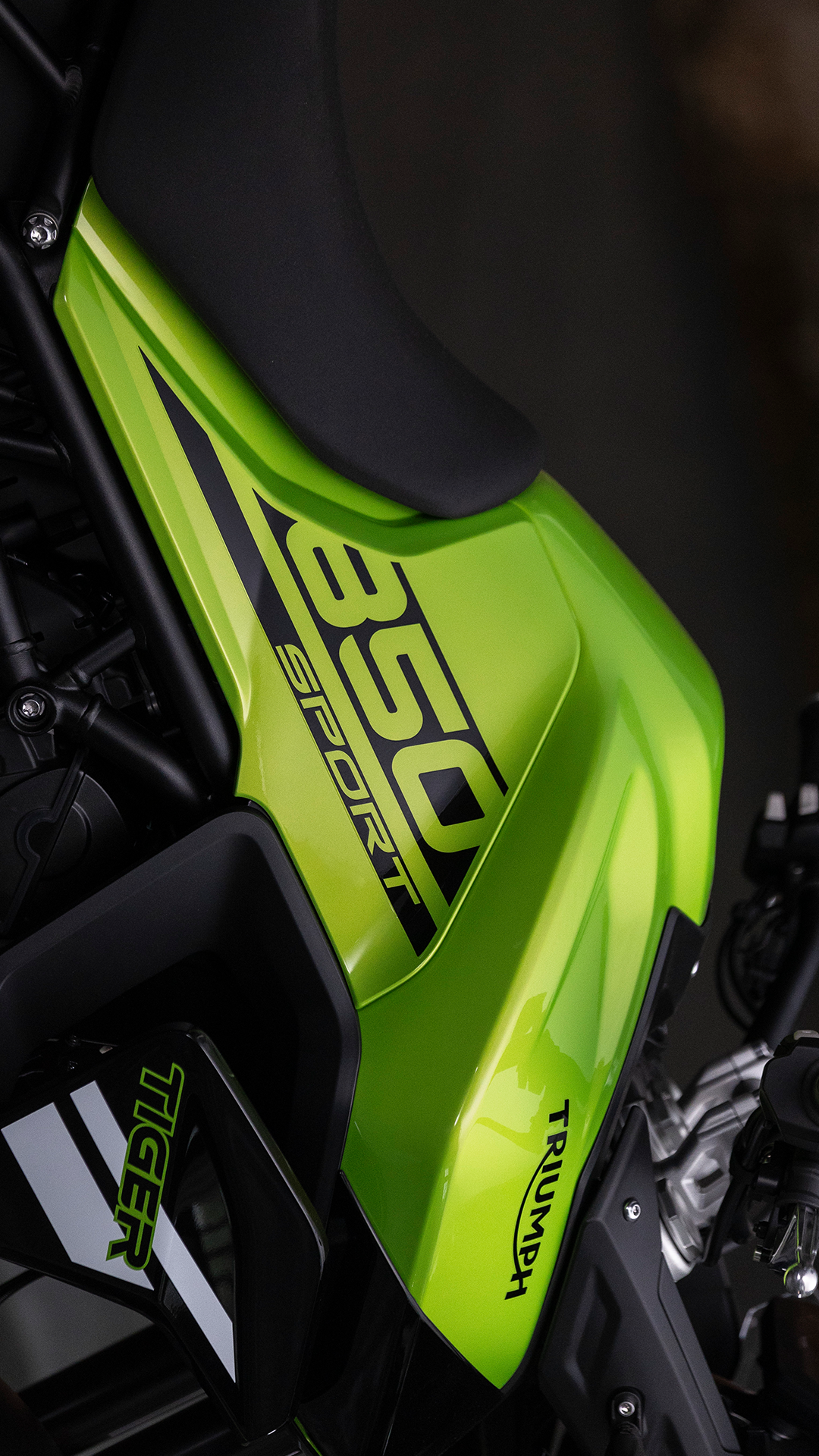 [2024-06-08]凯旋流行色指南