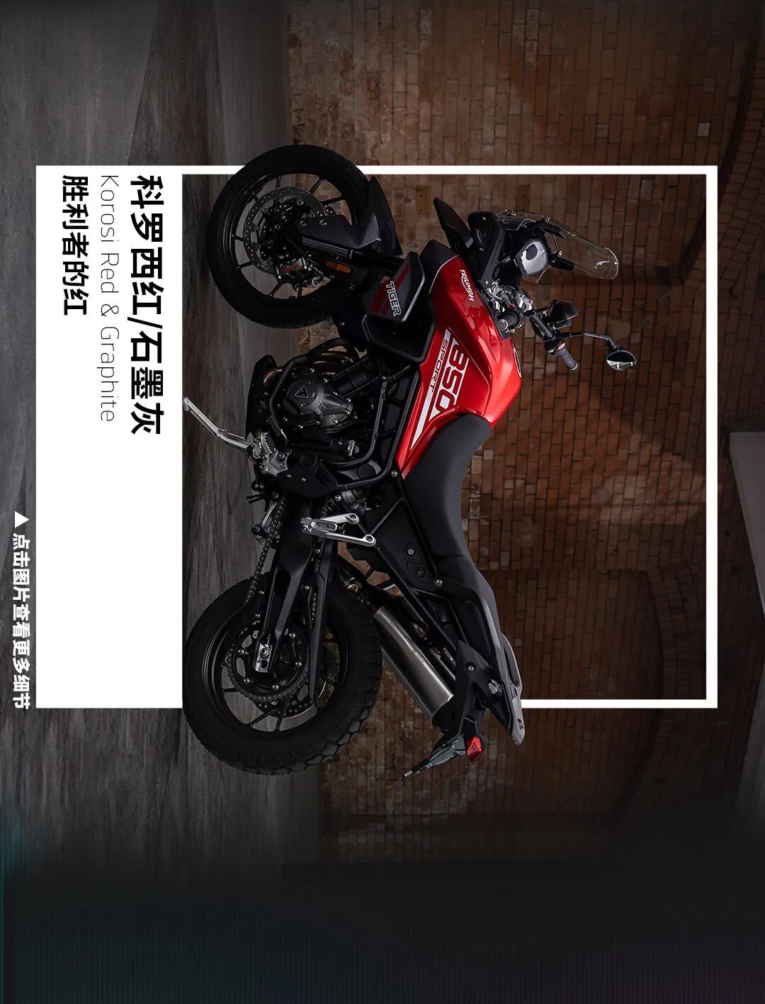 [2024-06-08]凯旋流行色指南