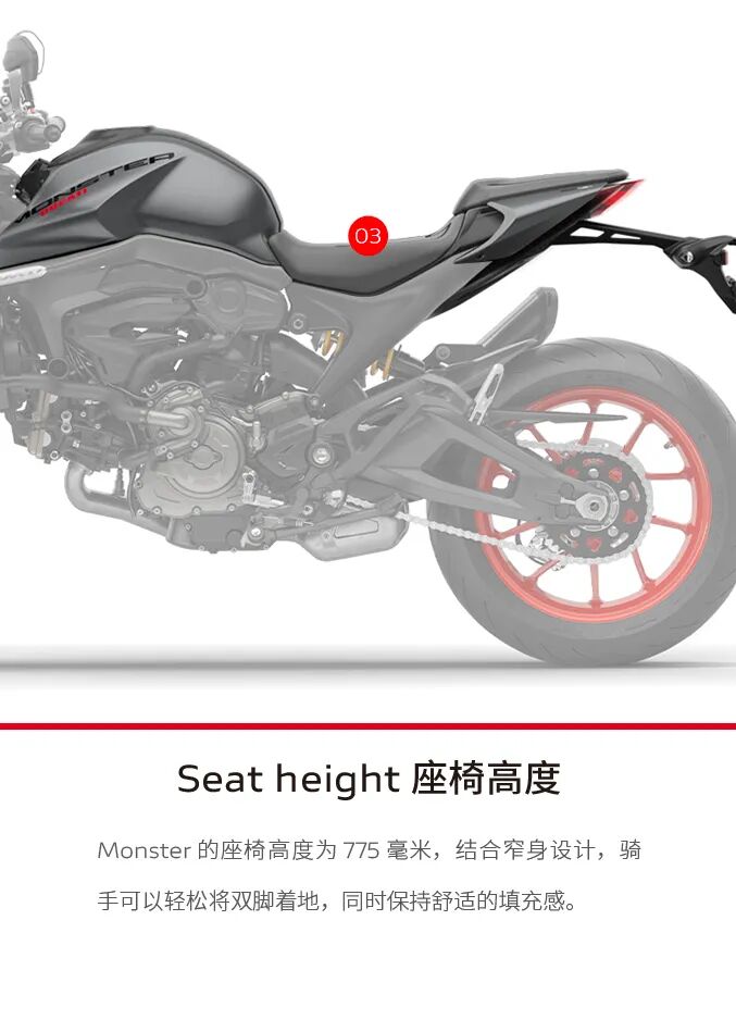 [2024-09-06]Monster乐趣尽享