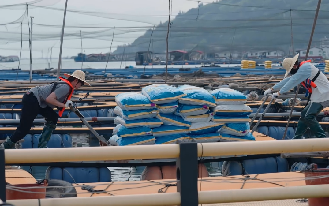 是的我们自己录了一集综艺