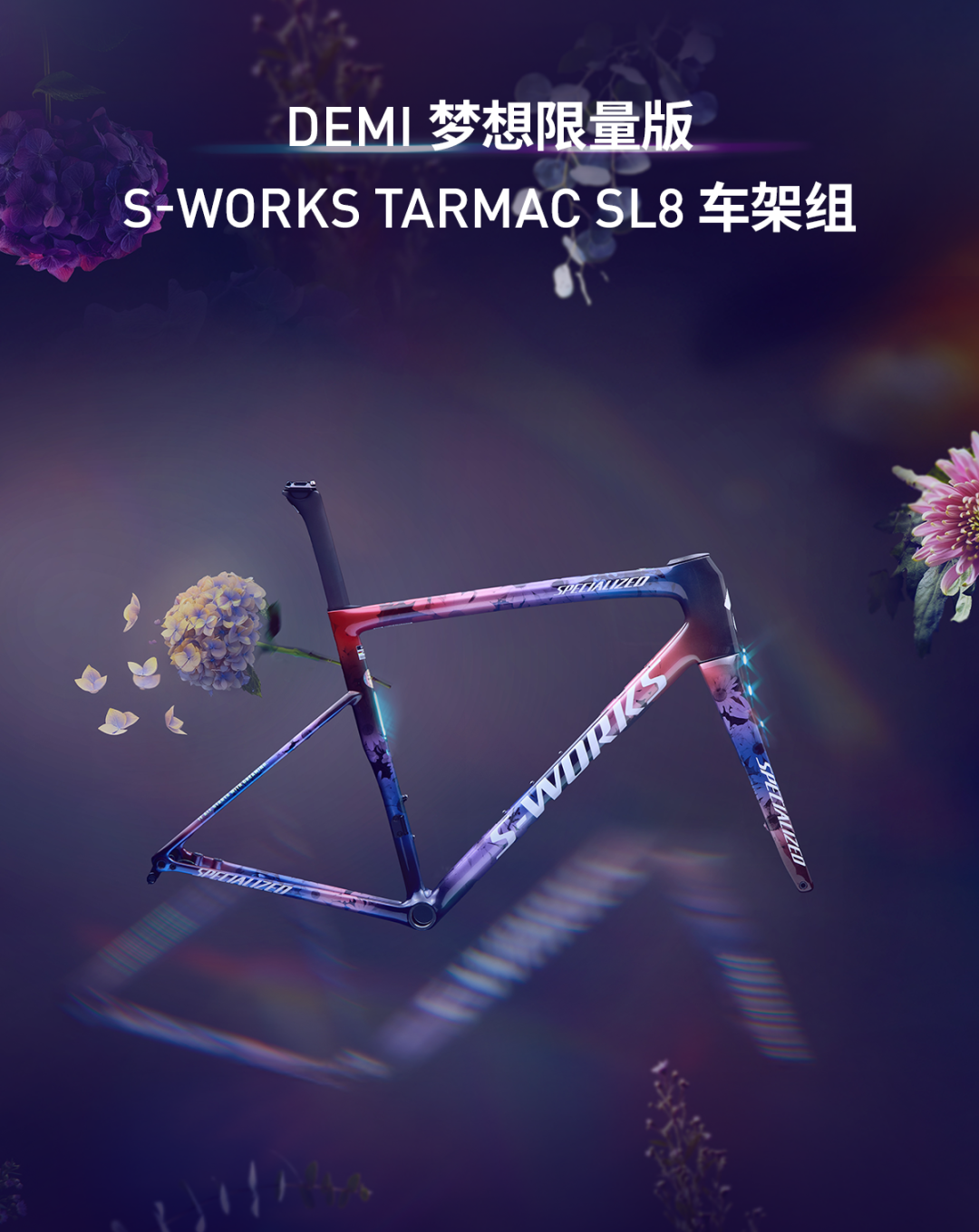 [2025-07-25]一切始于梦想Demi梦想限量版SWorksTarmacSL8车架组