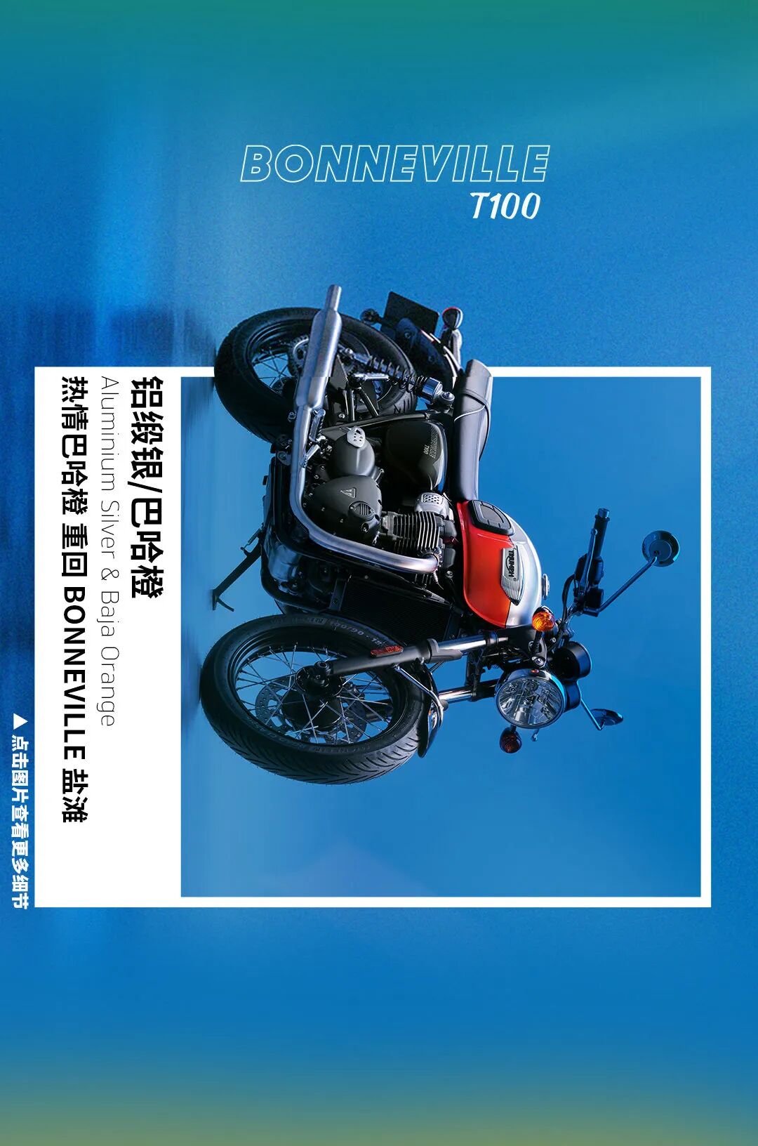 [2024-06-08]凯旋流行色指南