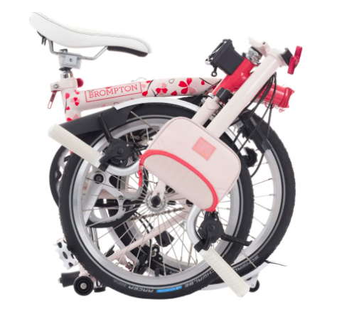 [2025-02-27]迎接樱花季需要准备什么