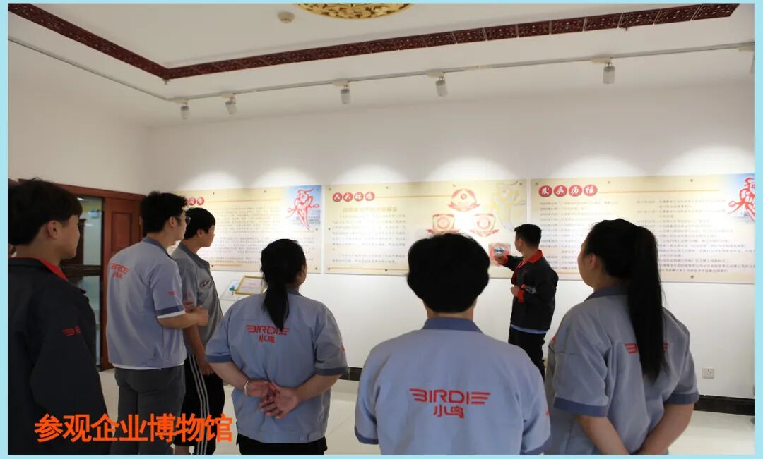 小鸟十八绽芳华