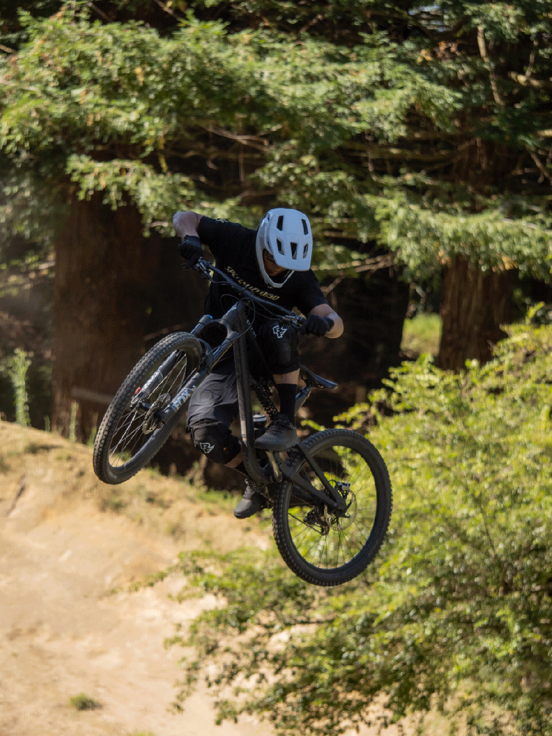 [2025-04-03]与SoilSearching共同掀起一场泥土运动