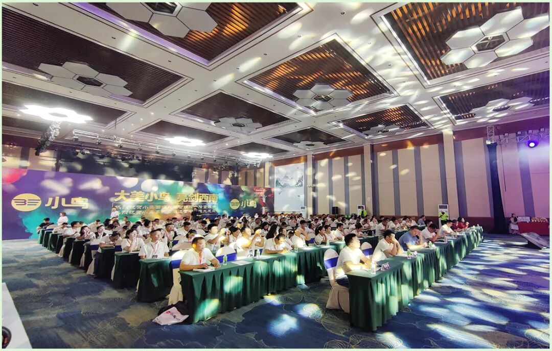 大美小鸟耕云西南