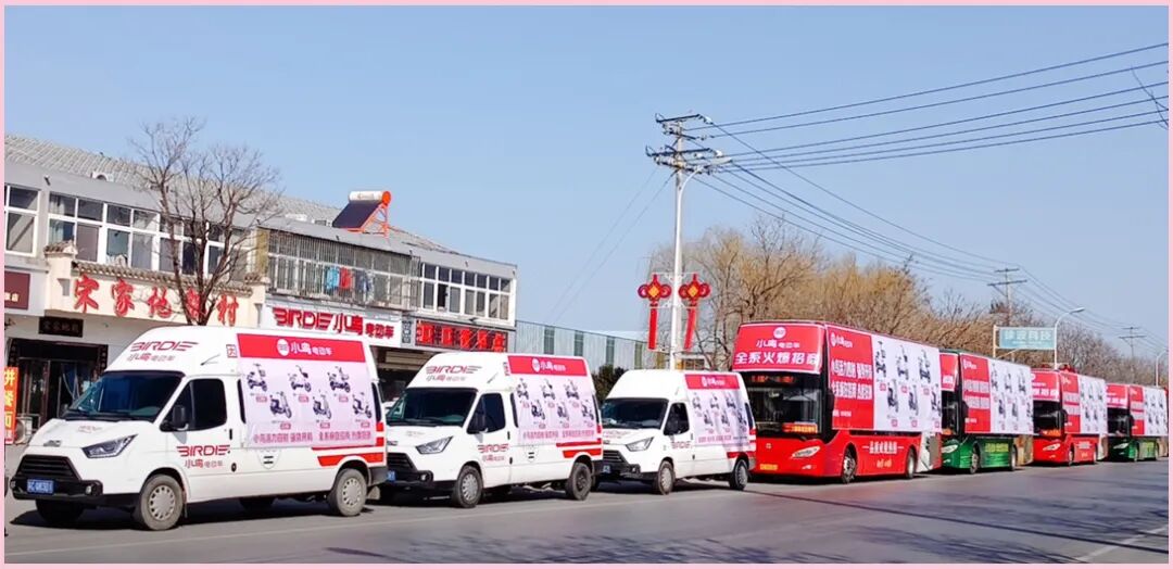 2023小鸟一路春天里