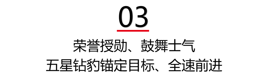 高燃开局一路豹闪2024五星钻豹开年启动大会盛大召开