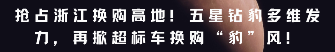 性能怪兽全面能打深度评测五星钻豹狂飙看完你就爱了