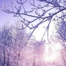 你的新年签是____