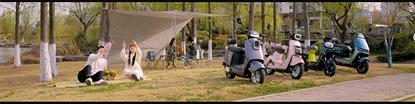 [2024-01-10]小鸟隆重召开第七届科学技术大会