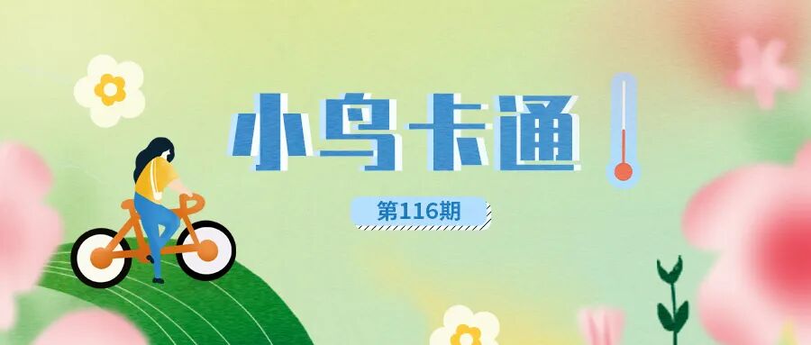 小鸟科技环太湖