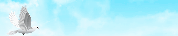 [2023-10-28]飞鸽助力海河蓝丝带正式启动天津亚运健儿都来点赞