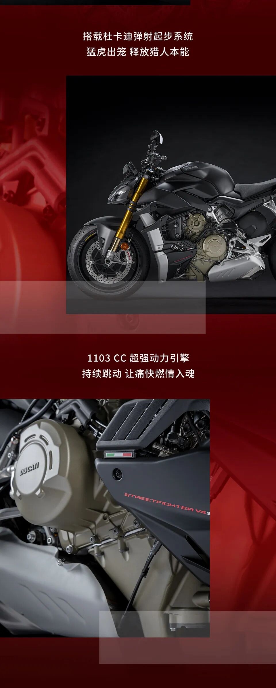 [2024-06-17]驰骋旷野霸气十足