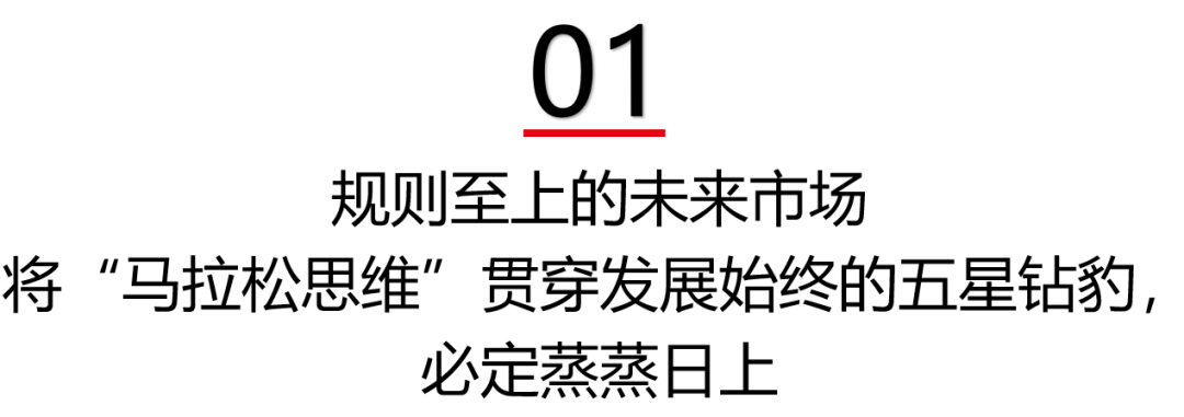高燃开局一路豹闪2024五星钻豹开年启动大会盛大召开