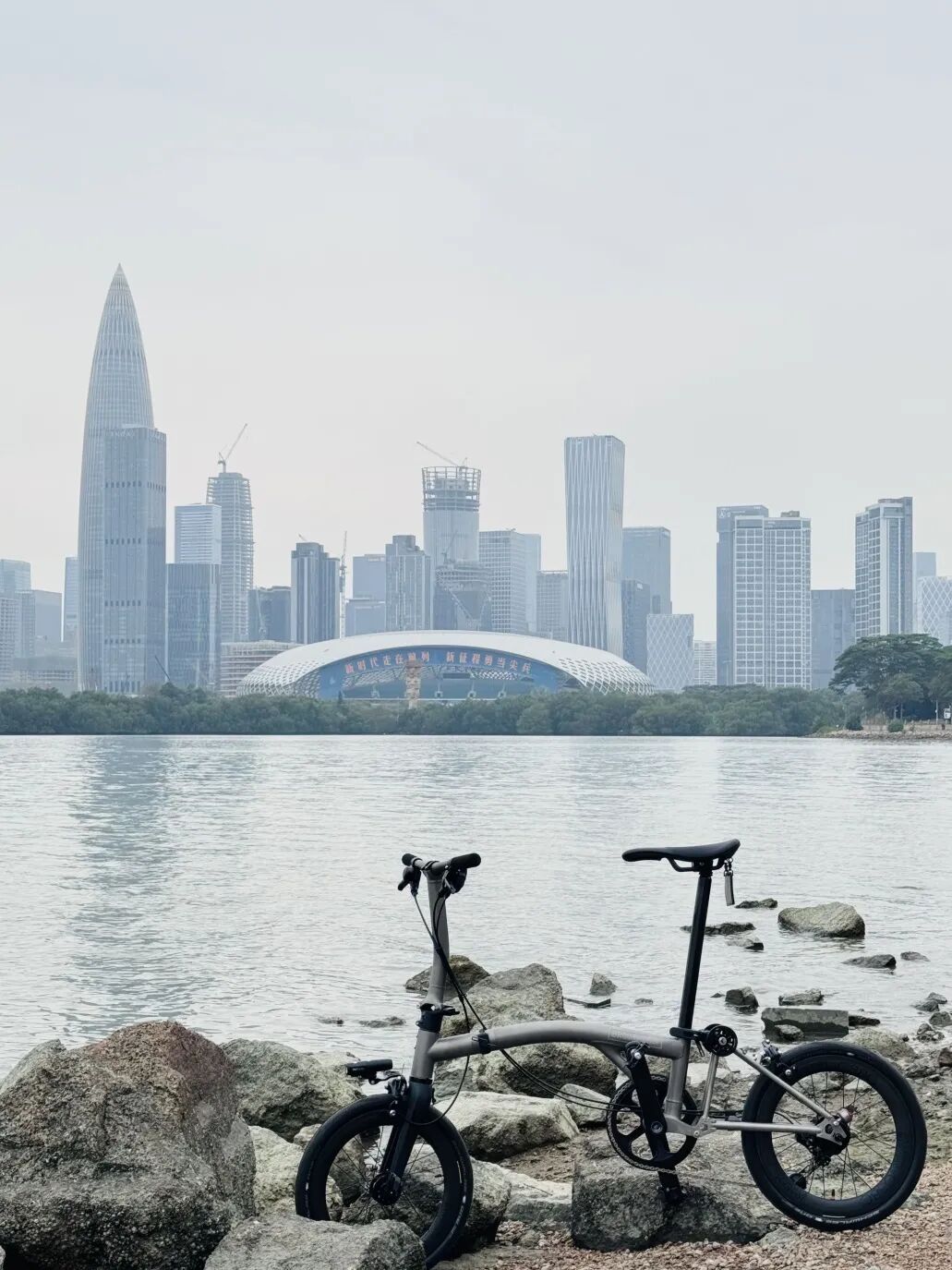 [2024-10-24]到底要不要买TLine听听布友们怎么说