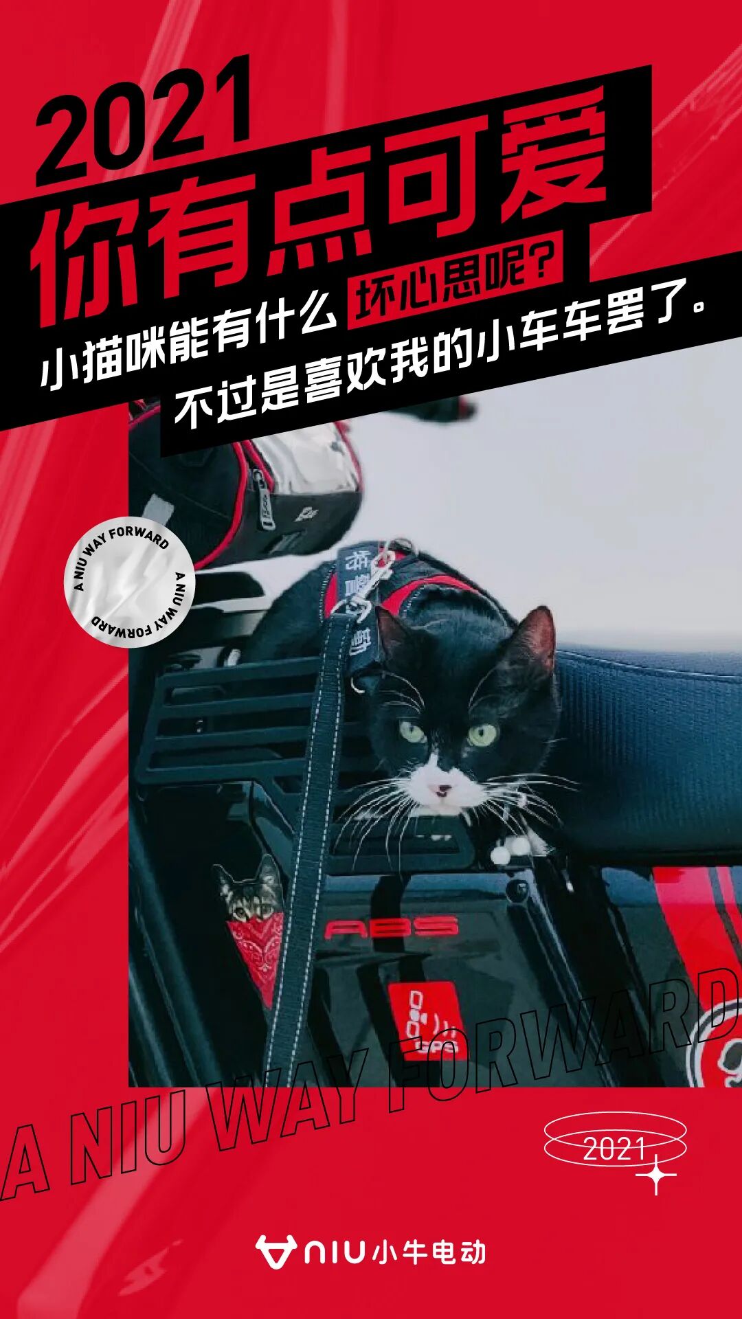 我不卖电动车好多年