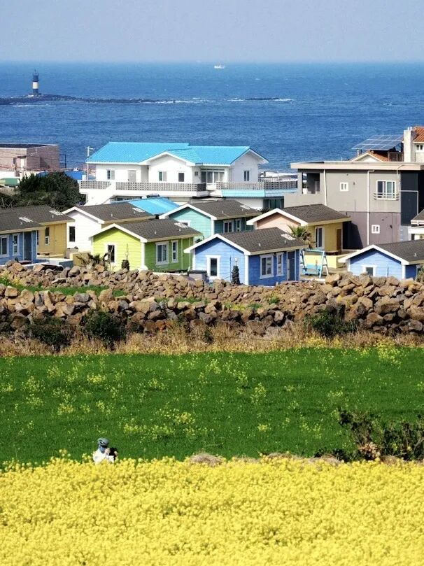 [2025-04-24]小布播报台Vol4