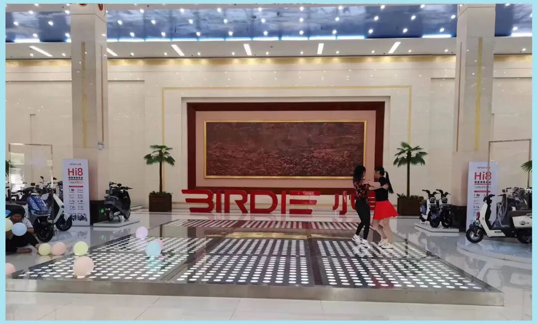 小鸟十八绽芳华