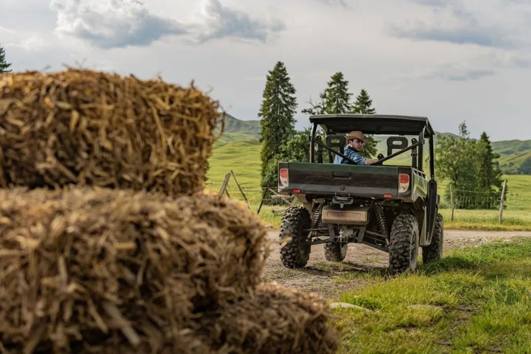 [2024-12-31]2024收官点击查收我们的非凡时刻