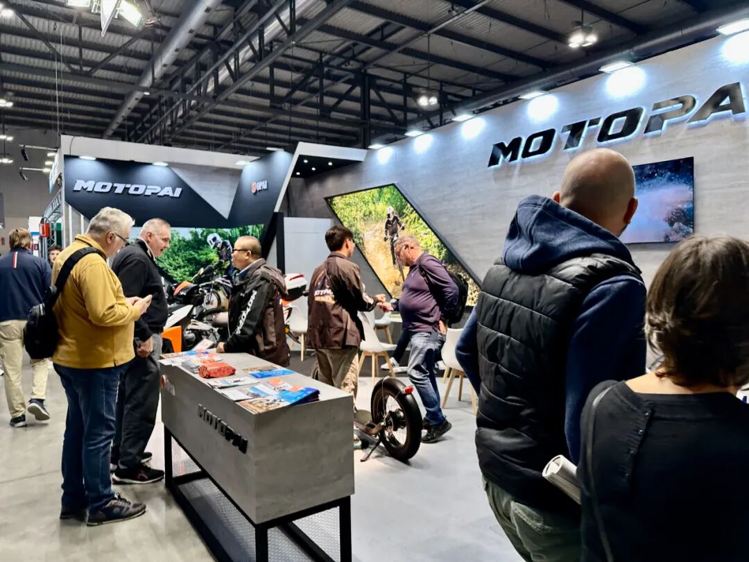 2025蛇我其谁欧派全力奔赴巅峰