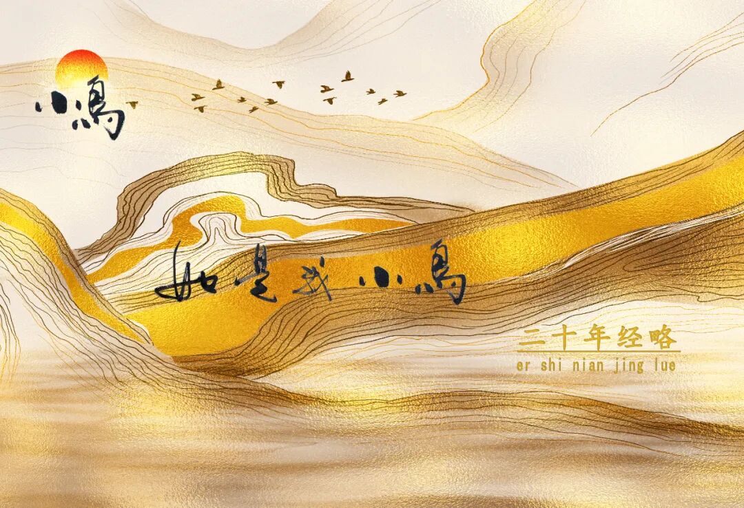 [2024-08-15]如是我小鸟二十年经略出版