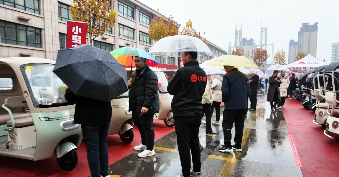 [2024-11-27]发挥优势巩固北方