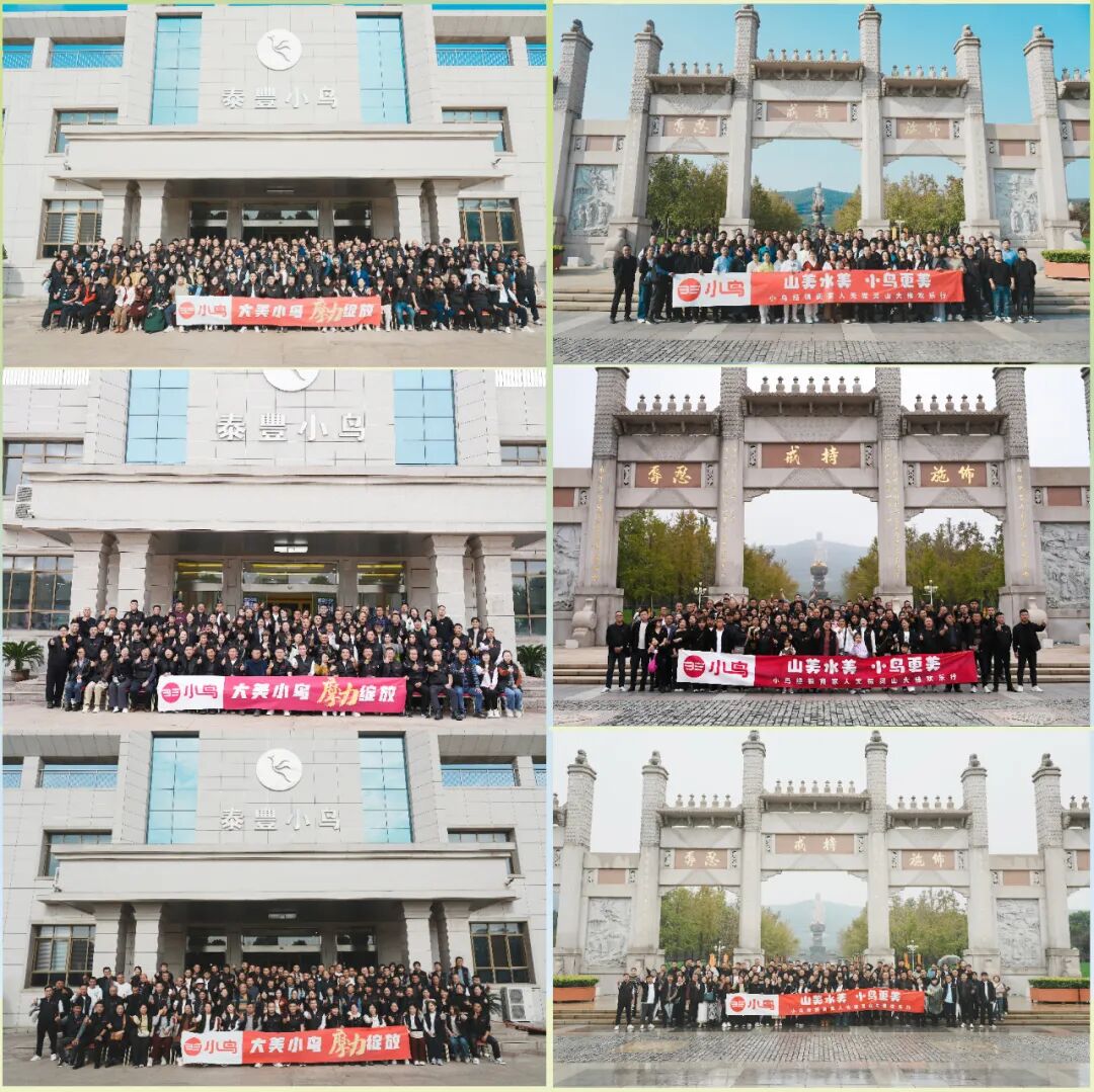 [2024-11-19]摩力新品精英会商谋篇布局