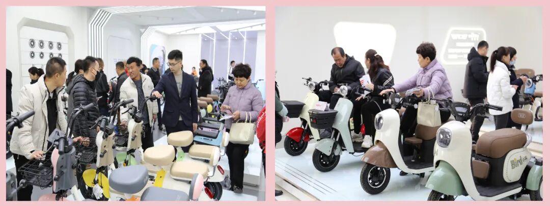 2023小鸟一路春天里