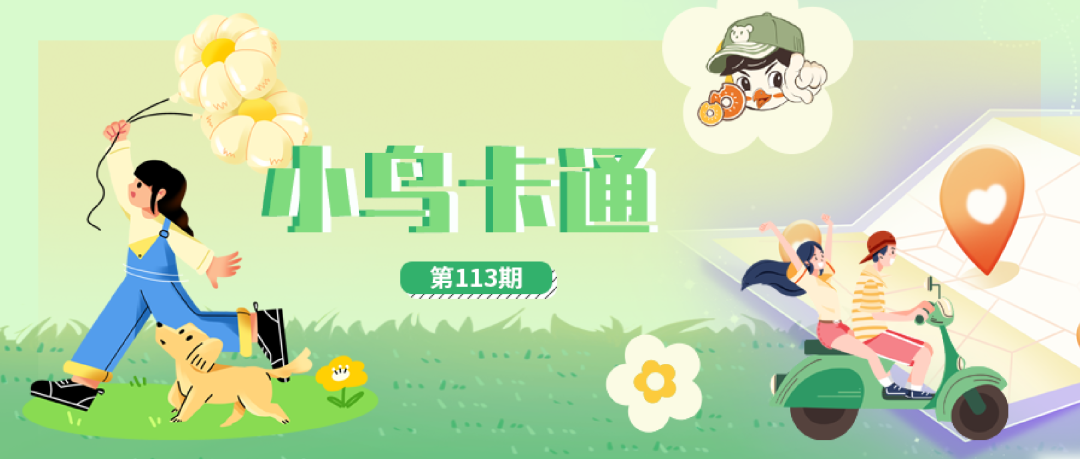 大美小鸟大美终端