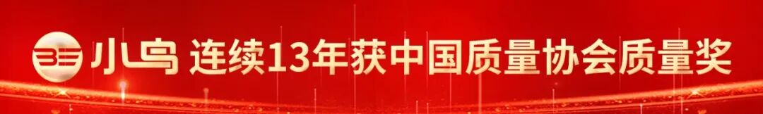 小鸟什么能13年持续领先