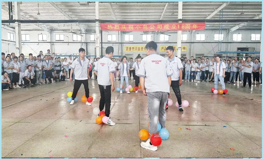 小鸟十八绽芳华