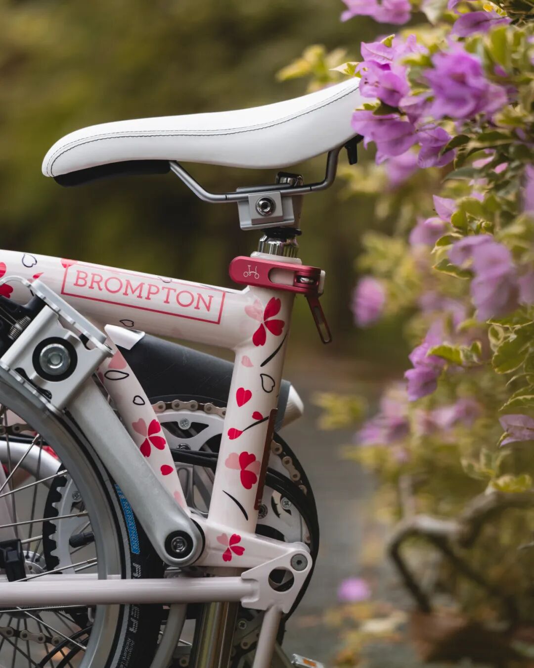 [2025-02-27]迎接樱花季需要准备什么