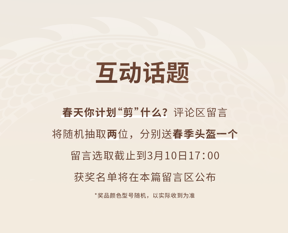 [2025-03-01]抬头纳新给生活来点新看头