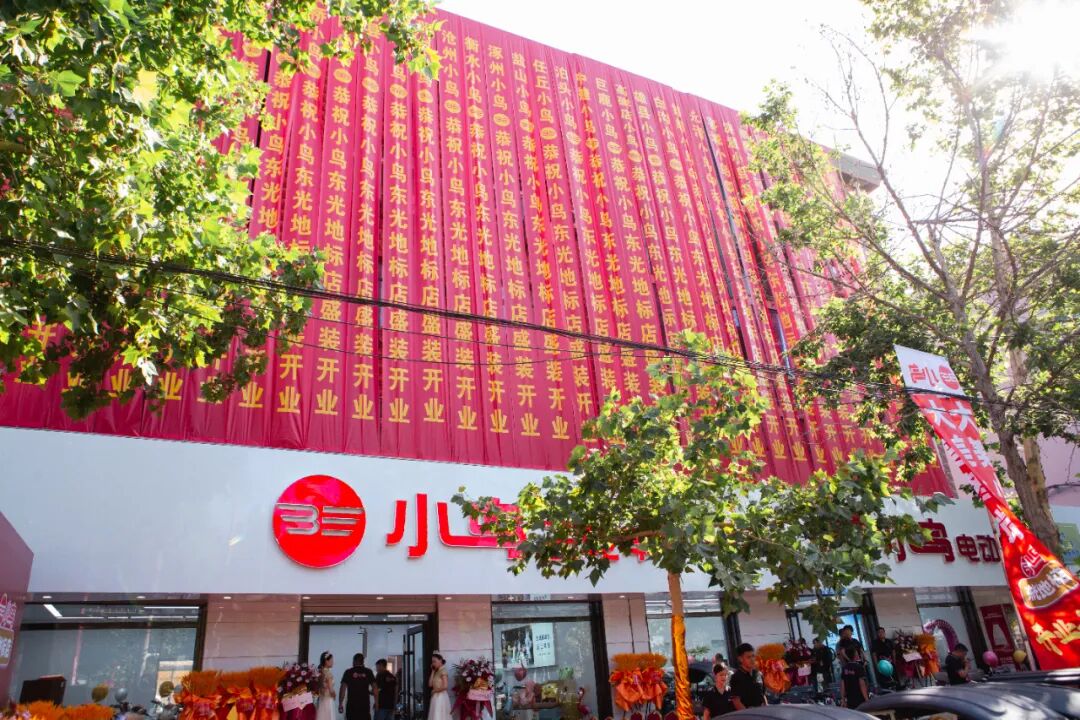 [2024-06-27]小鸟步新布局不凡