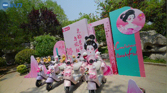 琼瑶式的浪漫就这么被可妮拿捏了