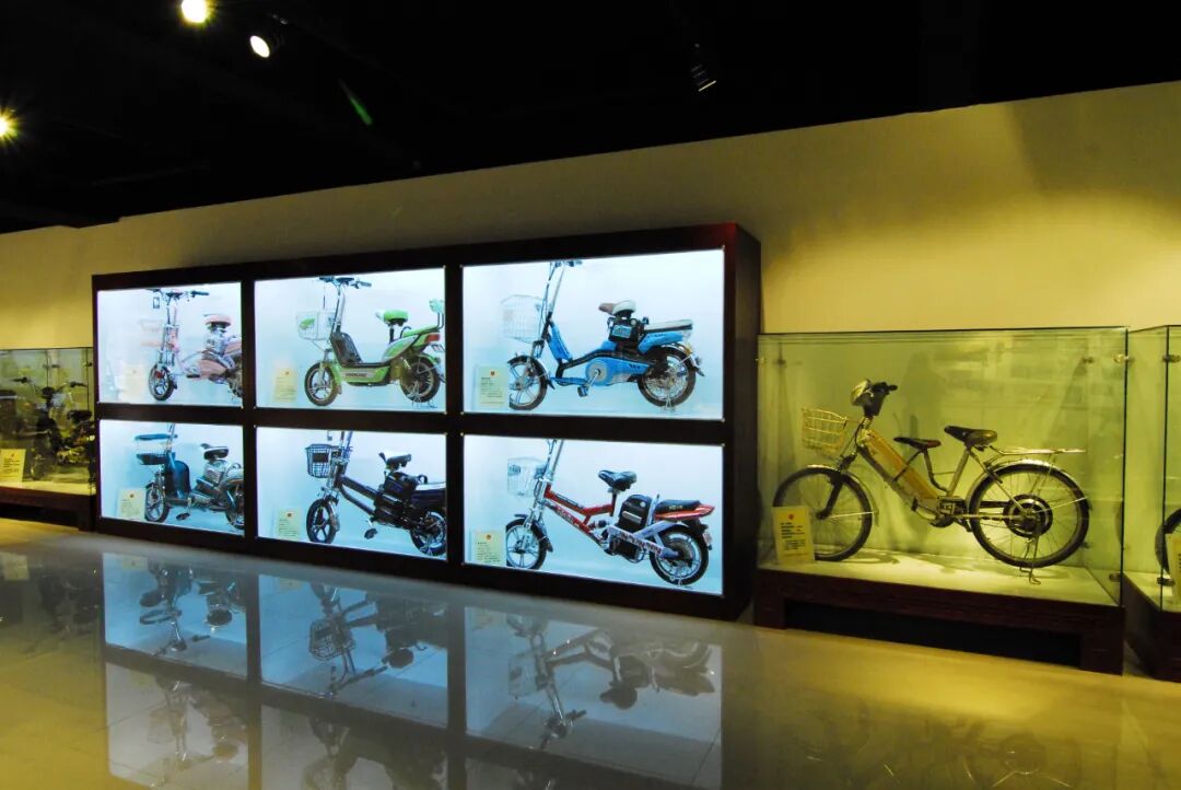 [2024-05-18]小鸟博物馆致力于可持续发展