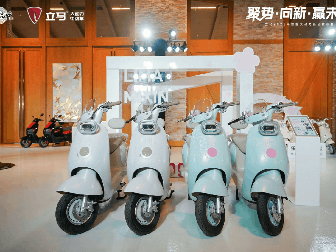 [2025-03-27]聚势向新赢未来立马智能大动力电动车全新品牌战略正式发布