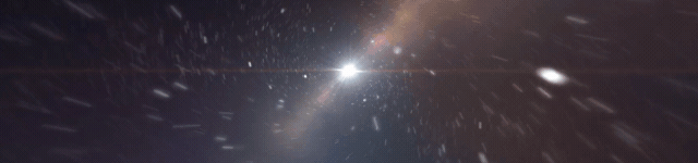 [2024-12-06]喵星人严选出行搭子就是TA