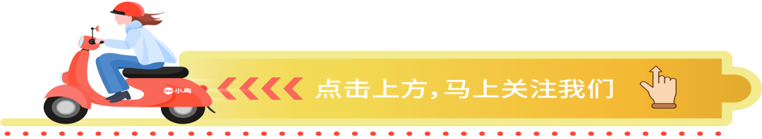 小鸟什么能13年持续领先