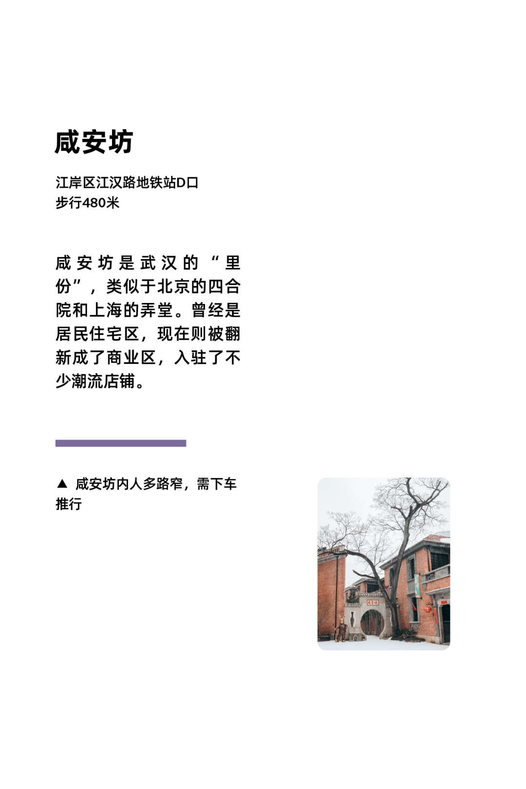 [2025-01-09]武汉骑行关键词美食文化与自然