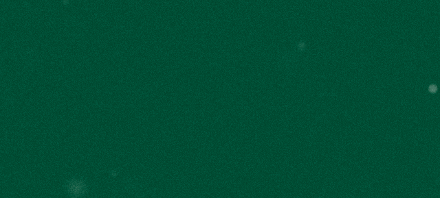 [2024-12-24]你的圣诞礼物藏在_____