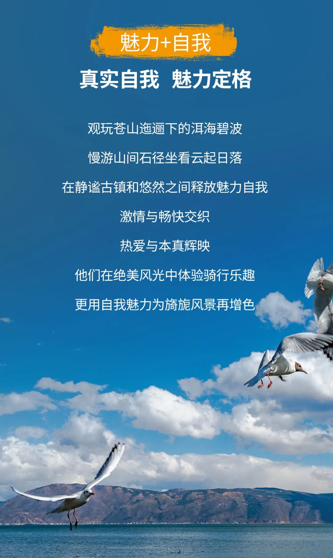 [2022-10-17]你是人间惊鸿客