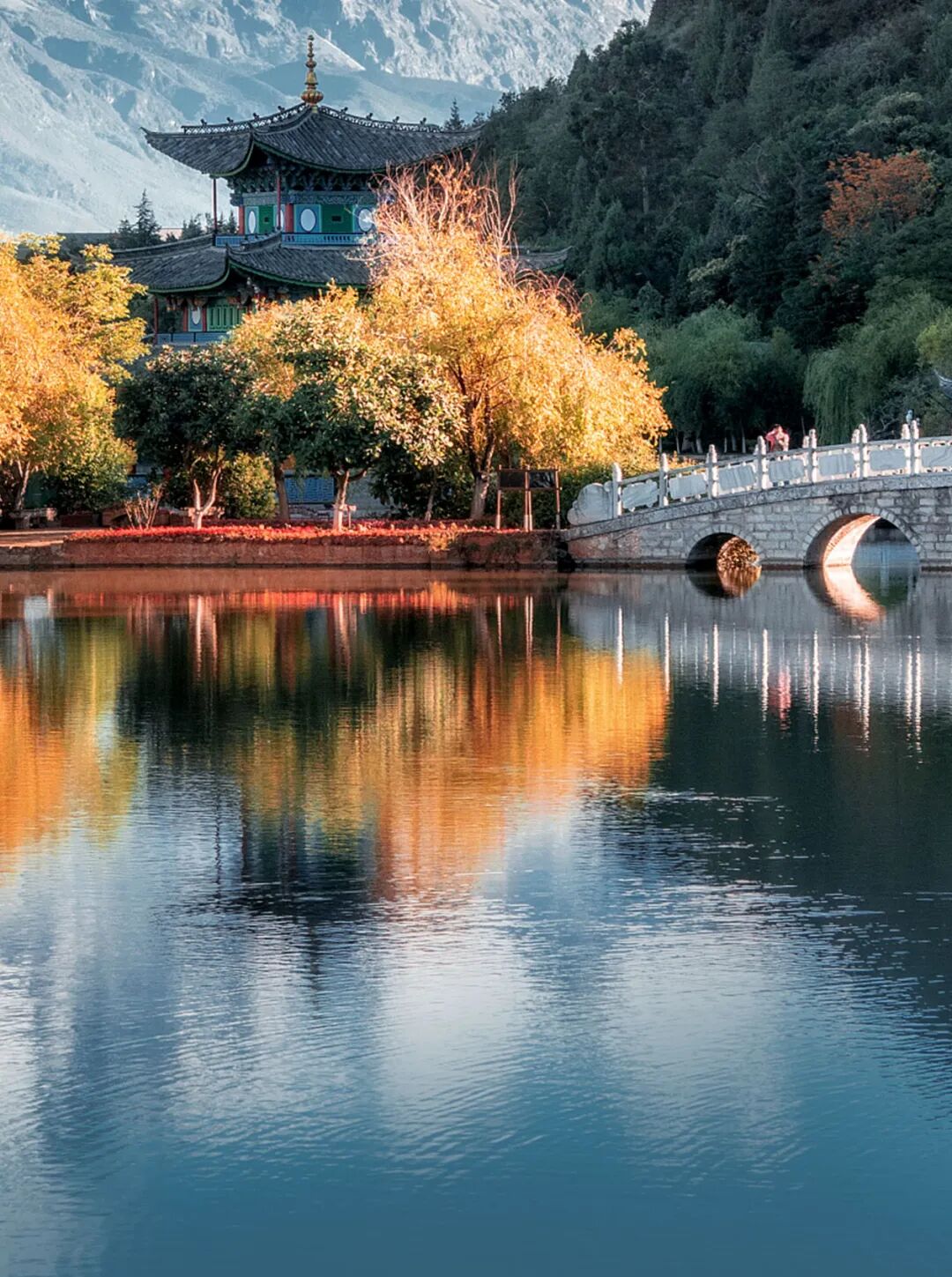 [2022-10-17]你是人间惊鸿客