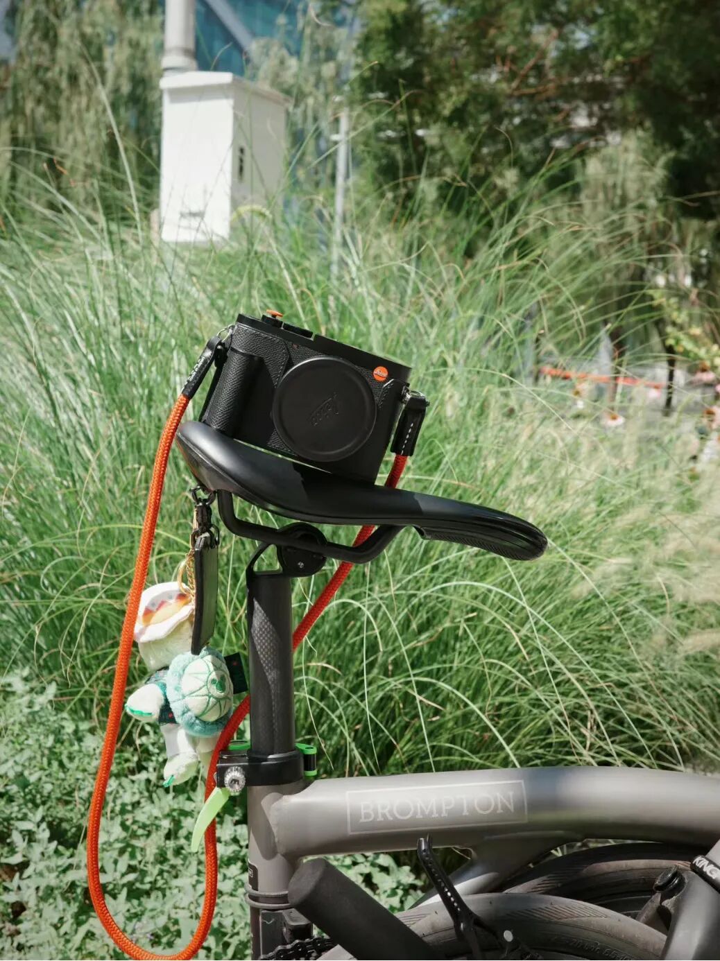 [2024-10-24]到底要不要买TLine听听布友们怎么说