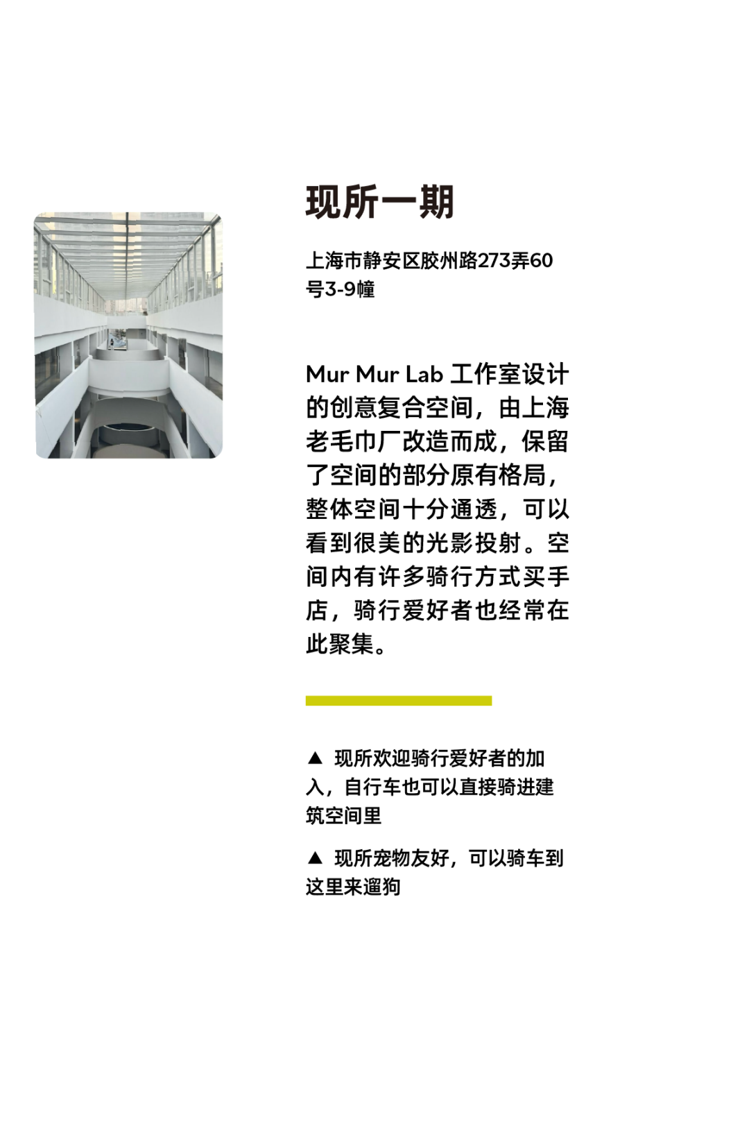 [2024-10-08]上海骑行的3种打开方式拾荒养老逛游乐场